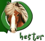 Hestur